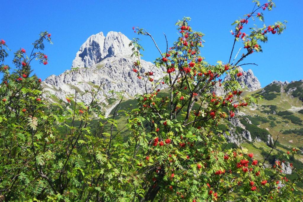 Ferienhaus Abendstille Ramsau am Dachstein Rom bilde